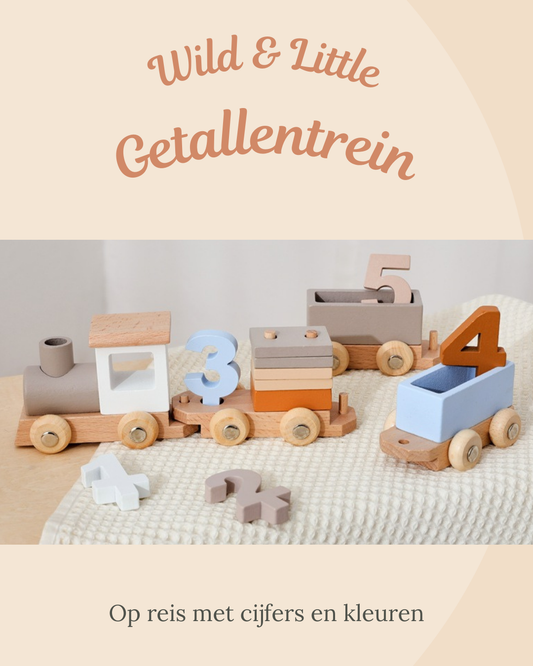 Wild & Little Getallentrein - Op reis met cijfers en kleuren