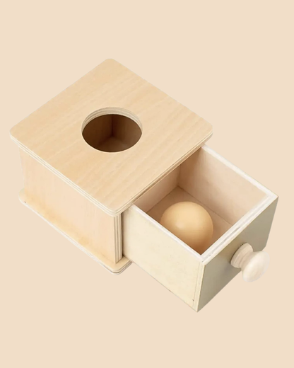 Wild & Little Hide ’n Find Box - Verstop, zoek en vind