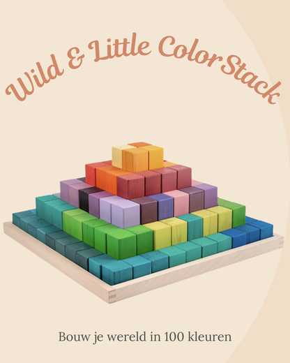 Wild & Little ColorStack - Bouw je wereld in 100 kleuren